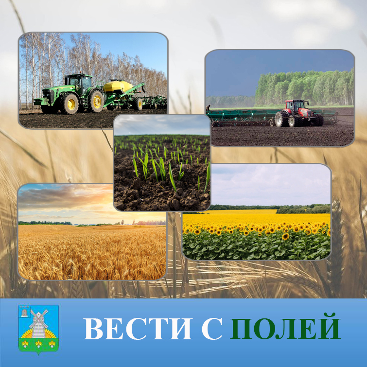 Токарёвские аграрии приступили к севу яровых зерновых и зернобобовых культур.