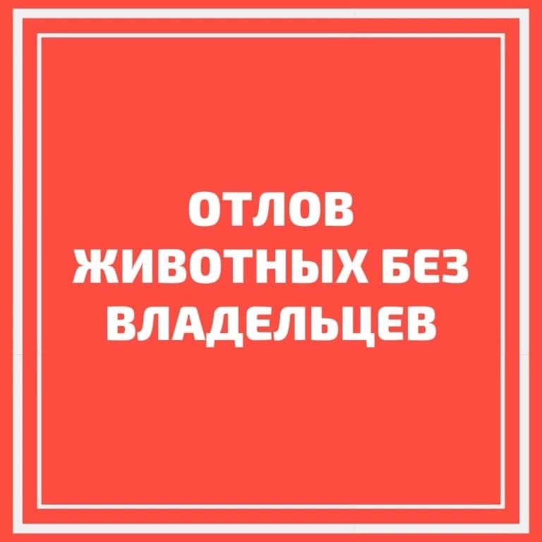 Уважаемые жители Токарёвского муниципального округа!.