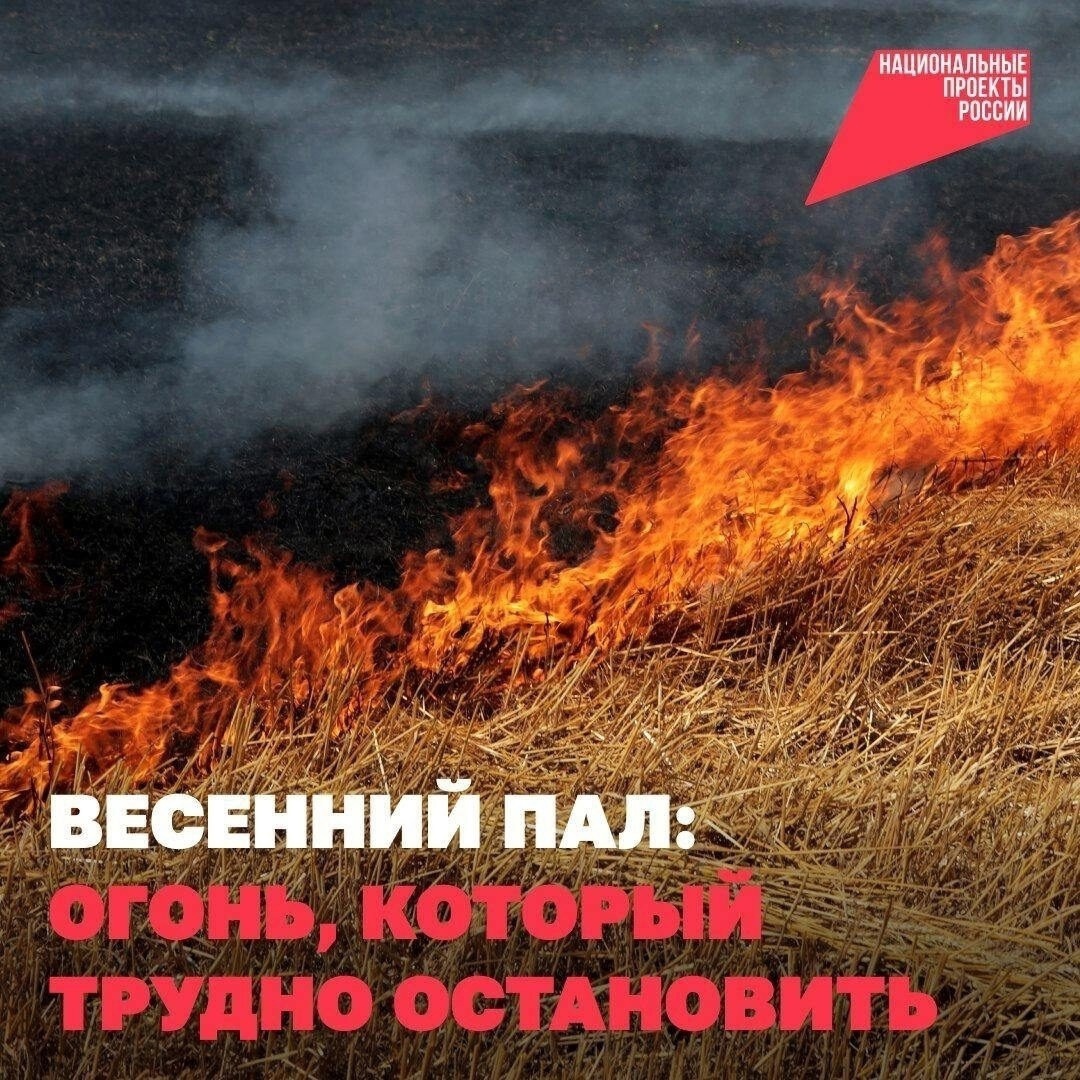 МЧС предупреждает жителей и гостей округа: пал сухой травы может привести к трагедии.