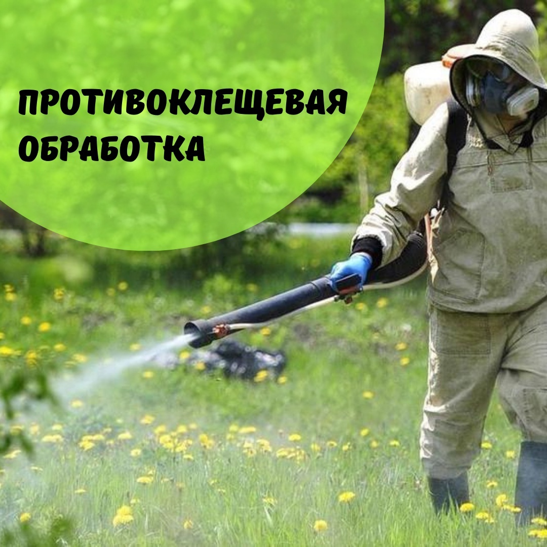 Вниманию жителей р.п.Токаревка.