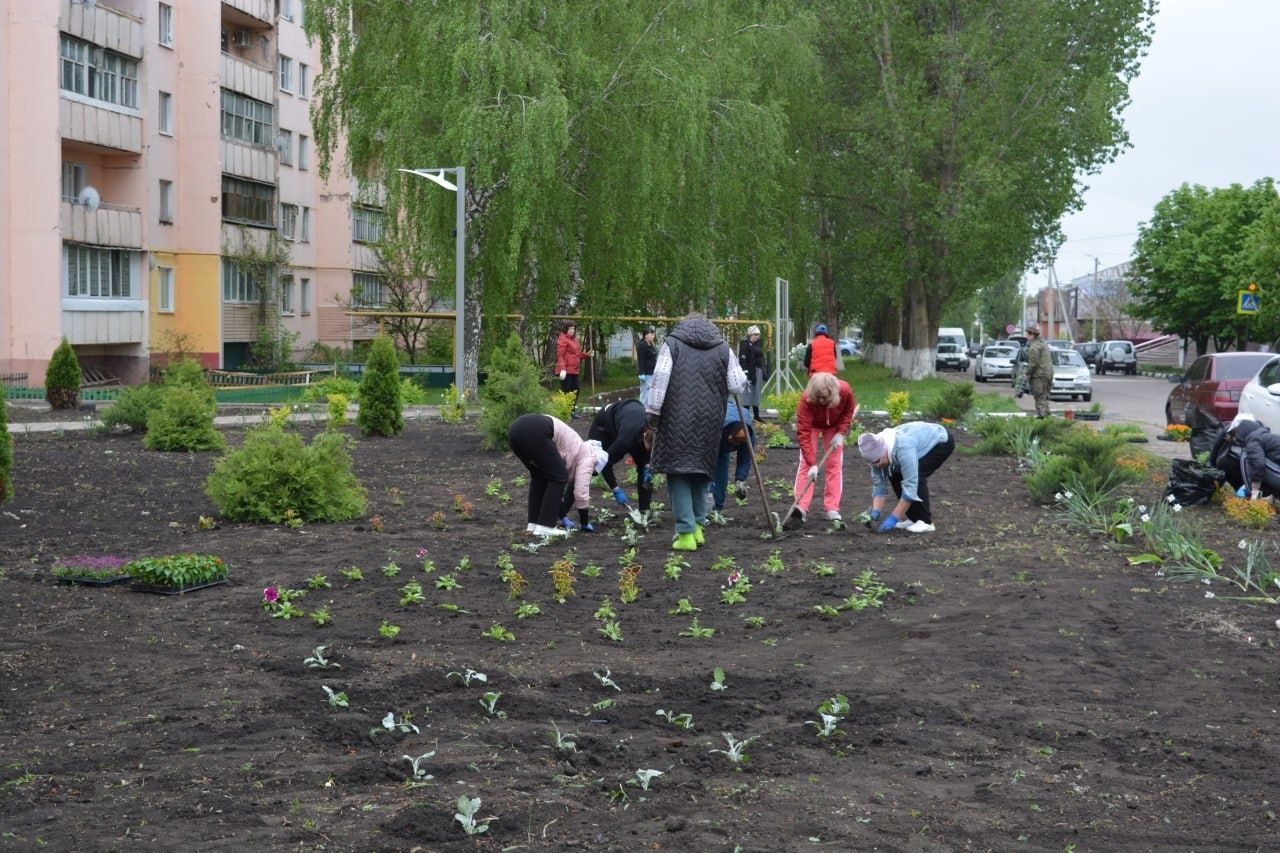 Жители округа продолжают принимать активное участие в субботниках.