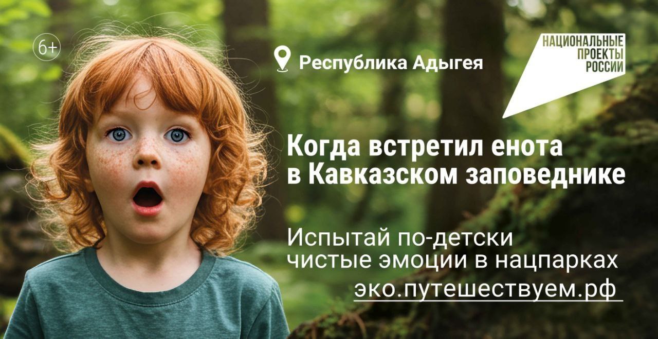 Токаревцы могут подобрать удобный экологический маршрут на сайте эко.путешествуем.рф.