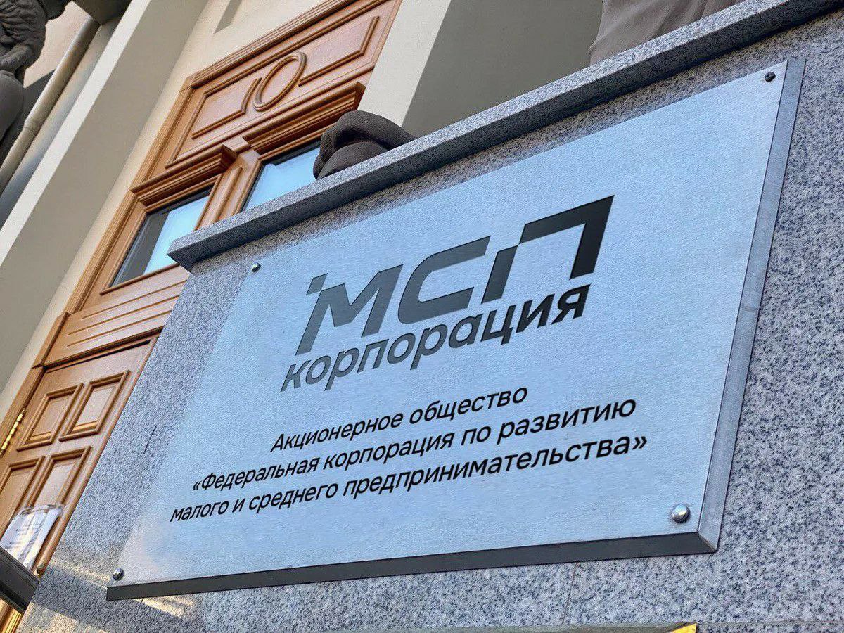 Нацпроект МСП.