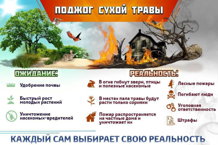 МЧС предупреждает: пал сухой травы может привести к трагедии!. МЧС предупреждает: пал сухой травы может привести к трагедии!.